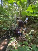Waldtag_22